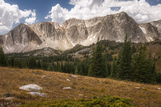 A Day Trip to Medicine Bow