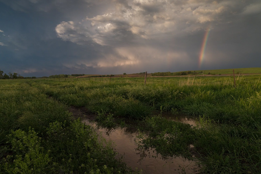 Shooting in All Types of Weather: A Photographer’s Guide to Embracing the Elements